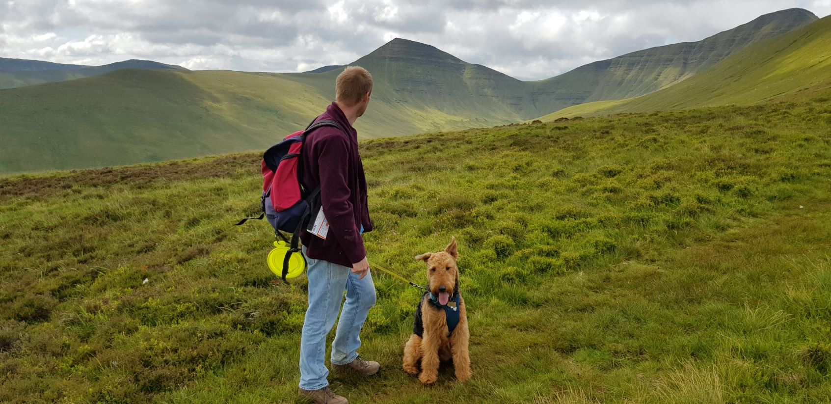 Photo of Pen y Fan and an Airedale